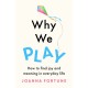 Why We Play: How to find joy and meaning in everyday life