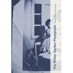 The Winter Garden Photograph