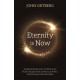 Eternity is Now: A Radical Rediscovery of What Jesus Really Taught about Salvation, Eternity and Getting to the Good Place