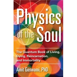 Physics of the Soul: The Quantum Book of Living, Dying, Reincarnation, and Immortality