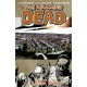 The Walking Dead Volume 16: A Larger World