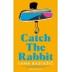 Catch the Rabbit