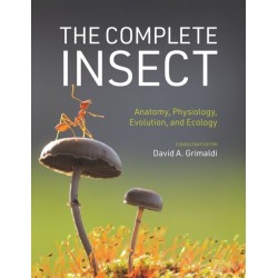 The Complete Insect: Anatomy, Physiology, Evolution, and Ecology