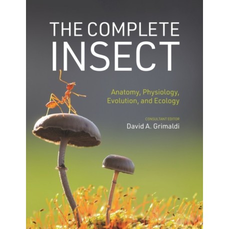 The Complete Insect: Anatomy, Physiology, Evolution, and Ecology
