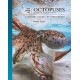 The Lives of Octopuses and Their Relatives: A Natural History of Cephalopods
