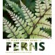 The Plant Lover's Guide to Ferns