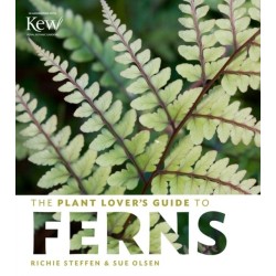 The Plant Lover's Guide to Ferns