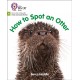 How to Spot an Otter: Phase 4 Set 2