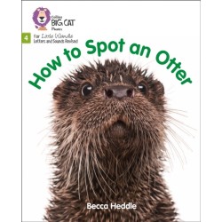 How to Spot an Otter: Phase 4 Set 2
