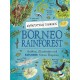 Expedition Diaries: Borneo Rainforest