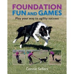 Foundation Fun And Games: Play Your Way To Agility Success