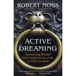 Active Dreaming: Journeying Beyond Self-Limitation to a Life of Wild Freedom