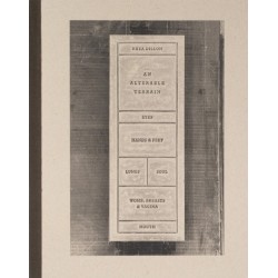 Rhea Dillon: An Alterable Terrain