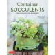 Container Succulents: Creative Ideas for Beginners