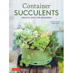 Container Succulents: Creative Ideas for Beginners