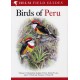Field Guide to Birds of Peru