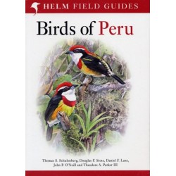 Field Guide to Birds of Peru