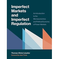 Imperfect Markets and Imperfect Regulation: An Introduction to the Microeconomics and Political Economy of Power Markets