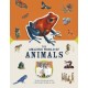 Paperscapes: The Amazing World of Animals: Turn This Book Into a Wildlife Work of Art