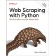 Web Scraping with Python: Data Extraction from the Modern Web
