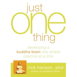Just One Thing: Developing A Buddha Brain One Simple Practice at a Time