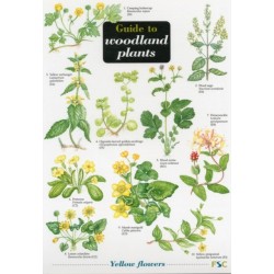 Guide to Woodland Plants