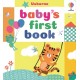 Baby's First Book