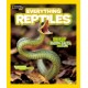 Everything Reptiles: Snap Up All the Photos, Facts, and Fun
