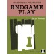 Endgame Play