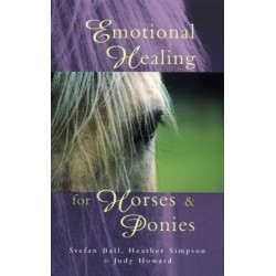 Emotional Healing For Horses & Ponies