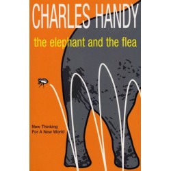 The Elephant And The Flea: New Thinking For A New World