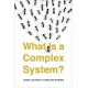 What Is a Complex System?