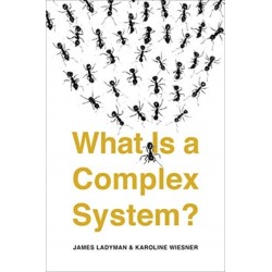 What Is a Complex System?