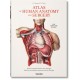 Bourgery. Atlas of Human Anatomy and Surgery