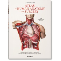 Bourgery. Atlas of Human Anatomy and Surgery