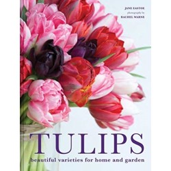 Tulips: Beautiful varieties for home and garden