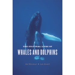 The Cultural Lives of Whales and Dolphins