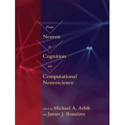 From Neuron to Cognition via Computational Neuroscience