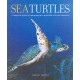 Sea Turtles: A Complete Guide to Their Biology, Behavior, and Conservation