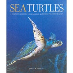 Sea Turtles: A Complete Guide to Their Biology, Behavior, and Conservation