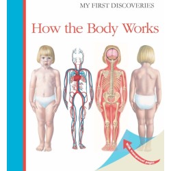 How the Body Works