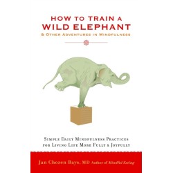How to Train a Wild Elephant: And Other Adventures in Mindfulness