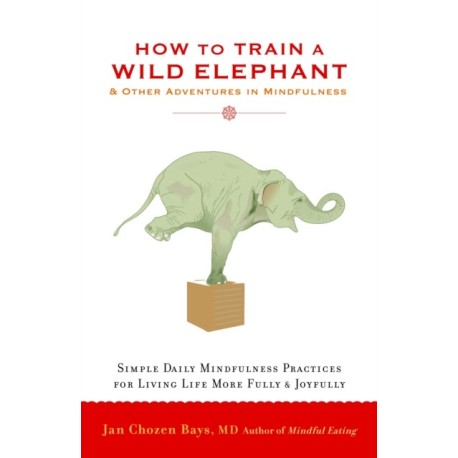 How to Train a Wild Elephant: And Other Adventures in Mindfulness