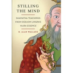 Stilling the Mind: Shamatha Teachings from Dudjom Lingpa's Vajra Essence
