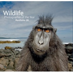 Wildlife Photographer of the Year: Portfolio 28