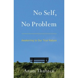 No Self, No Problem: Awakening to Our True Nature