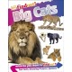 DKfindout! Big Cats