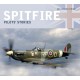 Spitfire: Pilots' Stories: Pilots' Stories