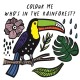 Colour Me: Who’s in the Rainforest?: Watch Me Change Colour In Water
