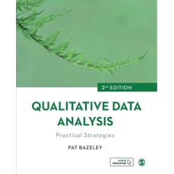 Qualitative Data Analysis: Practical Strategies